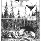 Illustration for article titled Resurfaced iPuma Blues/i shows Michael Zulli and Stephen Murphy’s audacious beginnings